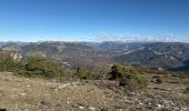 Tour Wandern Castellane - Thyrs : sommet du Robion - Photo 18