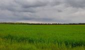 Trail Walking Crouy-sur-Ourcq - Marais de Negando et le Clignon depuis Crouy sur Ourcq - Photo 13