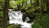 Tour Wandern Éternoz - Nans sous ste Anne, Lizon - Photo 3