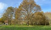 Tour Wandern Le Chesnay-Rocquencourt - Arboretum de Chevreloup - Photo 4