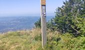 Trail Walking Autrans-Méaudre en Vercors - le bec de l'orient depuis la gève - Photo 2