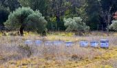 Tour Wandern Cotignac - Trace_Cotignac - Photo 17