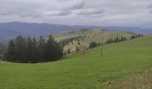 Tour Wandern Sondernach - Landersen boucle  - Photo 1