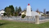 Percorso A piedi Gemeinde Leobersdorf - Karl Neuwirth Runde 