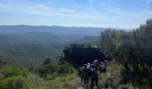 Excursión Senderismo Pierrefeu-du-Var - LA PORTANIÈRE LE FEDON - Photo 7