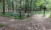 Tour Wandern Momignies - Macquenoise 170621 - Photo 13