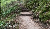 Randonnée  Consdorf - Consdorf - Echternach par le Mullerthal Trail - Photo 1