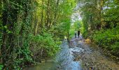 Tour Wandern Hamois - Marche Adeps à Natoye - Photo 7