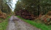 Randonnée Marche Châteaubourg - Forêt Marpiré  - Photo 1