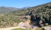 Excursión Senderismo La Môle - La Mole - Barrage de la Verne  - Photo 9