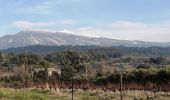Trail Walking Caromb - caromb grand pacours - Photo 13