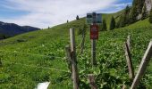 Tocht Stappen Fillière - ronceveau au col du freu 24 juin 19 - Photo 8