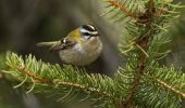 Randonnée A pied Cogne - Sentiero 22E Bivacco Martinotti - Photo 3