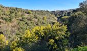 Tocht Stappen Sainte-Maxime - Sainte maxime - le couloubrier - Photo 12