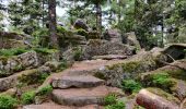 Trail Walking Kaysersberg-Vignoble - 2022-05-29 Marche Kaysersberg Ursprung Bilstein - Photo 2