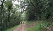 Tour Nordic Walking Le Bosc - Le Bosc Grandmont - Photo 4