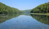 Tour Wandern Lannion - 2024 RA J5 Bretagne costamoricaine / Lannion - Locquémau - Photo 4