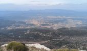 Trail Walking Plan-d'Aups-Sainte-Baume - sentiers merveilleux - Photo 7