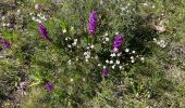 Tour Wandern Caussols - Caussol le 15/05 - Photo 10