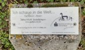 Tocht Te voet Wald-Michelbach - Rundwanderweg Wald-Michelbach 5: Höhenwanderweg Tromm - Photo 8