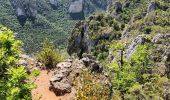 Trail Walking Le Rozier - Le Rozier-corniche Méjean-17-05-22 - Photo 5