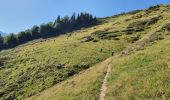 Tour Wandern Bordes-Uchentein - cabanes du Trapech et Tuc du Coucou en boucle - Photo 1