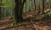 Trail On foot Poppenhausen - Poppenhausen - Altenfeld - Photo 1