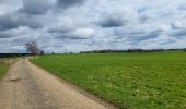 Trail Walking La Roche-en-Ardenne - Samree 190324 - Photo 10