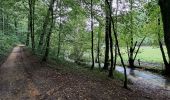 Tour Wandern Florenville - Orval - Photo 10