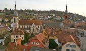 Randonnée A pied Weingarten - Über sanfte Hügel zur Schönen Aussicht - Photo 3