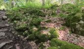 Trail Walking Jalhay - mon 8 de la statte  - Photo 18