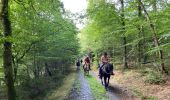 Percorso Equitazione Bastogne - Livarchamps - Photo 6