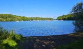 Tocht Stappen Froidchapelle - Balade au Lac de l'Eau d'Heure - Photo 10