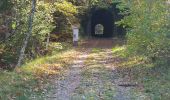 Randonnée Marche Seyssins - Boucle  voies du Tram 1 - Photo 2