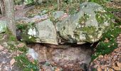 Trail Walking Ballancourt-sur-Essonne - Forêt Hospitalière de la Coudraye Ballancourt-sur-Essonne  - Photo 11