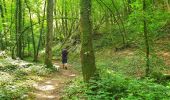 Randonnée Marche Thuin - La Promenade du Bois du Prince - Abbaye d'Aulne - Photo 3