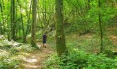 Tour Wandern Thuin - La Promenade du Bois du Prince - Abbaye d'Aulne - Photo 3