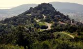 Randonnée Marche La Crau - Fenouillet - Chateau de Hyères - retour par les vignes - Photo 12