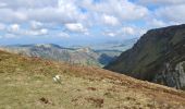 Trail Walking Mont-Dore - cascade-puys-Sancy - Photo 20