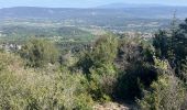 Percorso Sentiero Cheval-Blanc - Font de l’Orme-Croix de Fer-Menerbes-Pic Faiendre(17K 950D+) - Photo 4