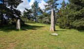 Trail Walking Chanac - Rando..Chanac..Causses de Sauveterre..16/05/2024 - Photo 13