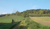 Excursión A pie Dornburg-Camburg - Stöben-Schmiedehausen - Photo 8