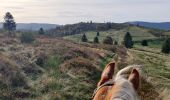 Trail Horseback riding Barembach - 2022-10-30 Journée Rothau Struthof Serva Perheux - Photo 9