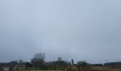 Trail Walking Houffalize - Pisserotte 151224 - Photo 11