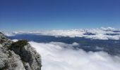 Excursión Senderismo Lans-en-Vercors - Lans en Vercors - Les Ramées - Trou St Michel - Photo 2