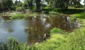 Tocht Te voet Wychavon - Hanbury Circular Walk - Photo 9