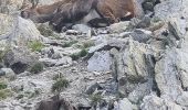 Excursión Senderismo Saint-Martin-Vésubie - pas des l'adresse et col des fenestre  - Photo 1