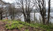 Percorso A piedi Sconosciuto - Castlewellan Forest Park - Cypress Pond Walk - Photo 1