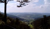 Trail On foot Elzach - Elzach - Tafelbühl - Photo 5