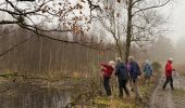 Trail Walking Tenneville - Mochamps - Photo 18